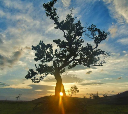Sábado (6) tem trilha no Mestre Álvaro na Serra, com direito a por do sol
