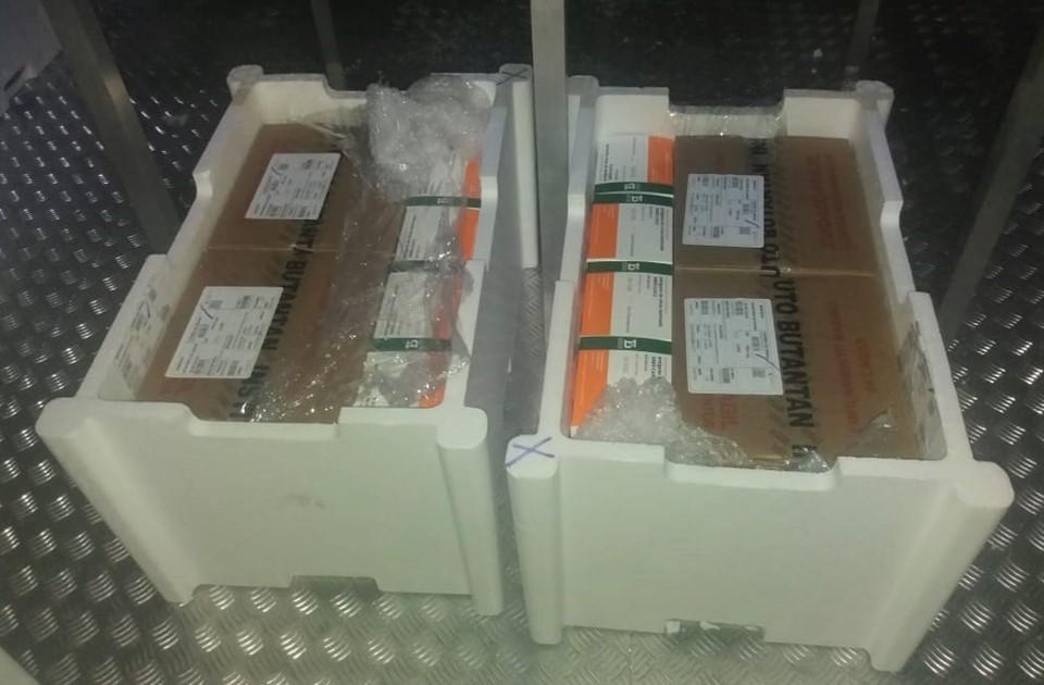 Chegam ao Espírito Santo mais 48 mil doses para vacinação contra a Covid-19