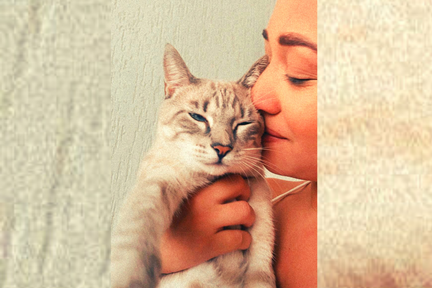 Sábado (22) tem feira de adoção em Laranjeiras na Serra