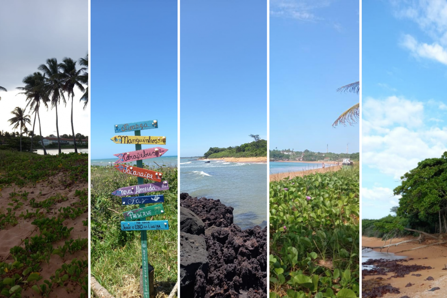 As restingas, o meio ambiente e o turismo serrano