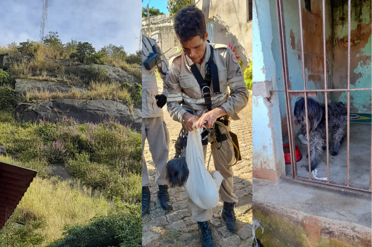 Cachorro preso em pedreira em Vila Velha é resgatado pelo Corpo de Bombeiros