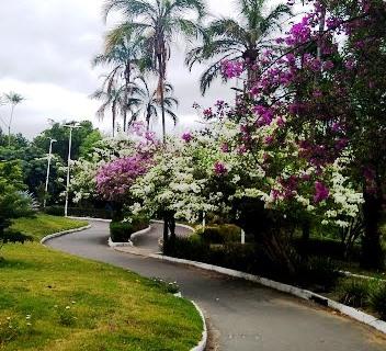 Não usar máscara no Parque da Cidade e por toda Serra ainda não gera multa, mas é obrigatório