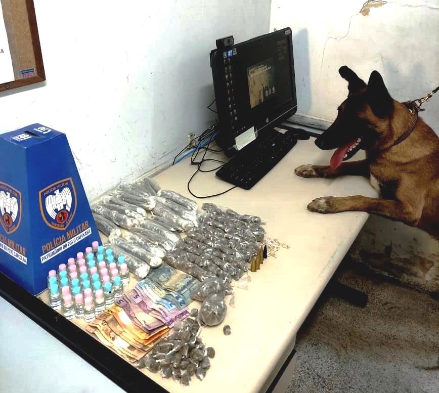 Bandidos enterram drogas em tonel embaixo de pé de abacate, em Nova Carapina II