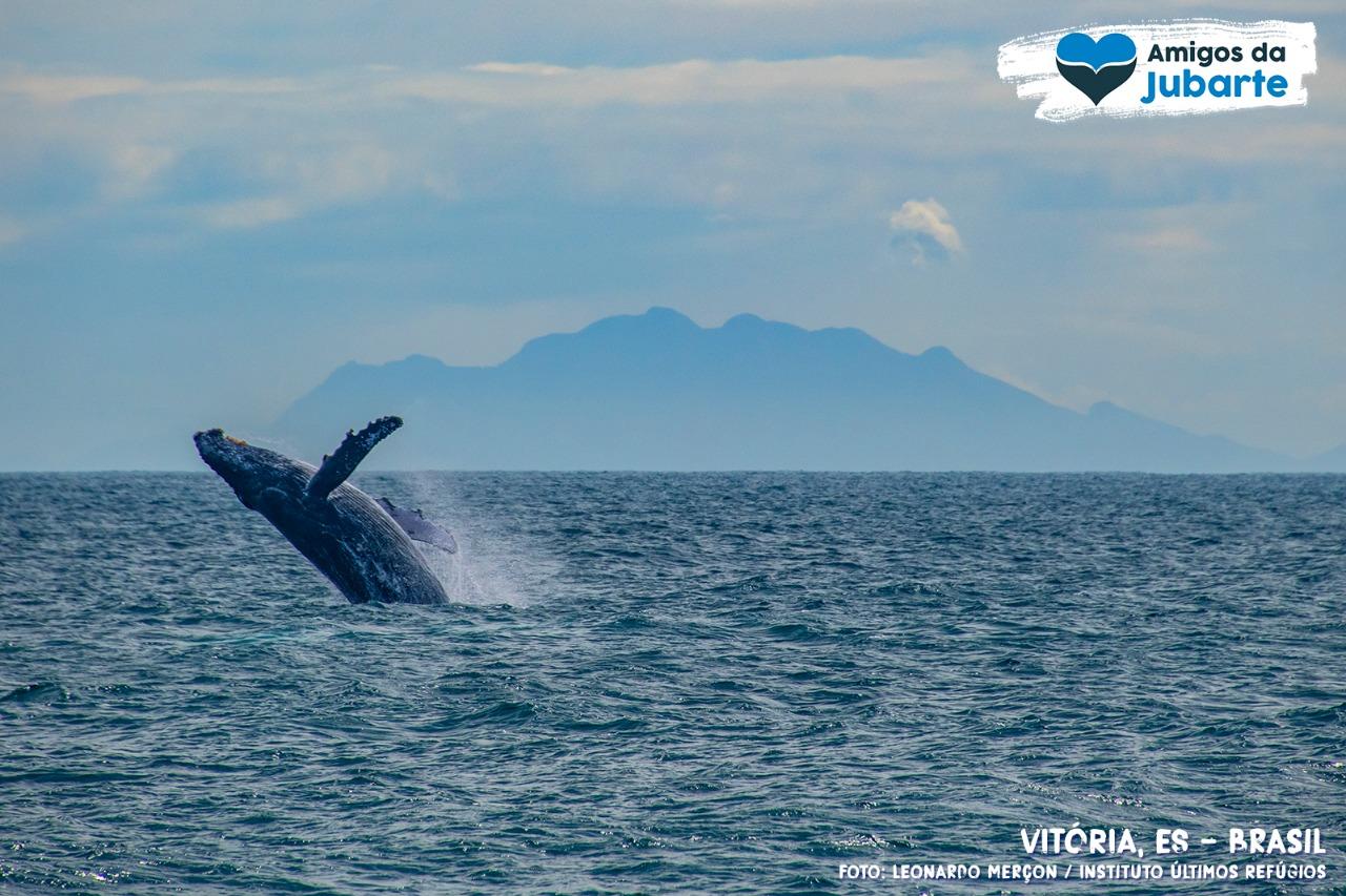 Serra terá turismo de observação de baleias e golfinhos