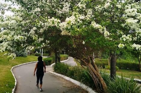 Bromeliário reaberto para visitas no Parque da Cidade na Serra