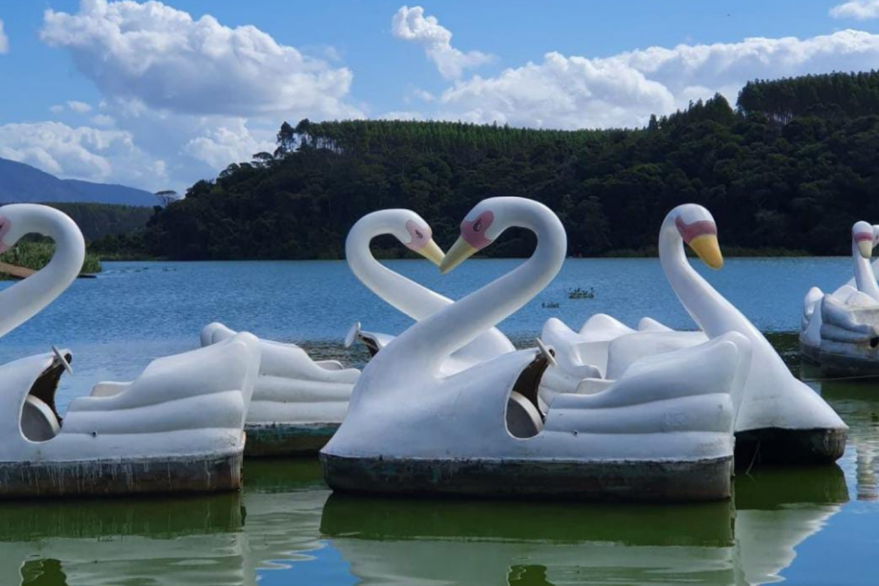 De boa na lagoa Juara