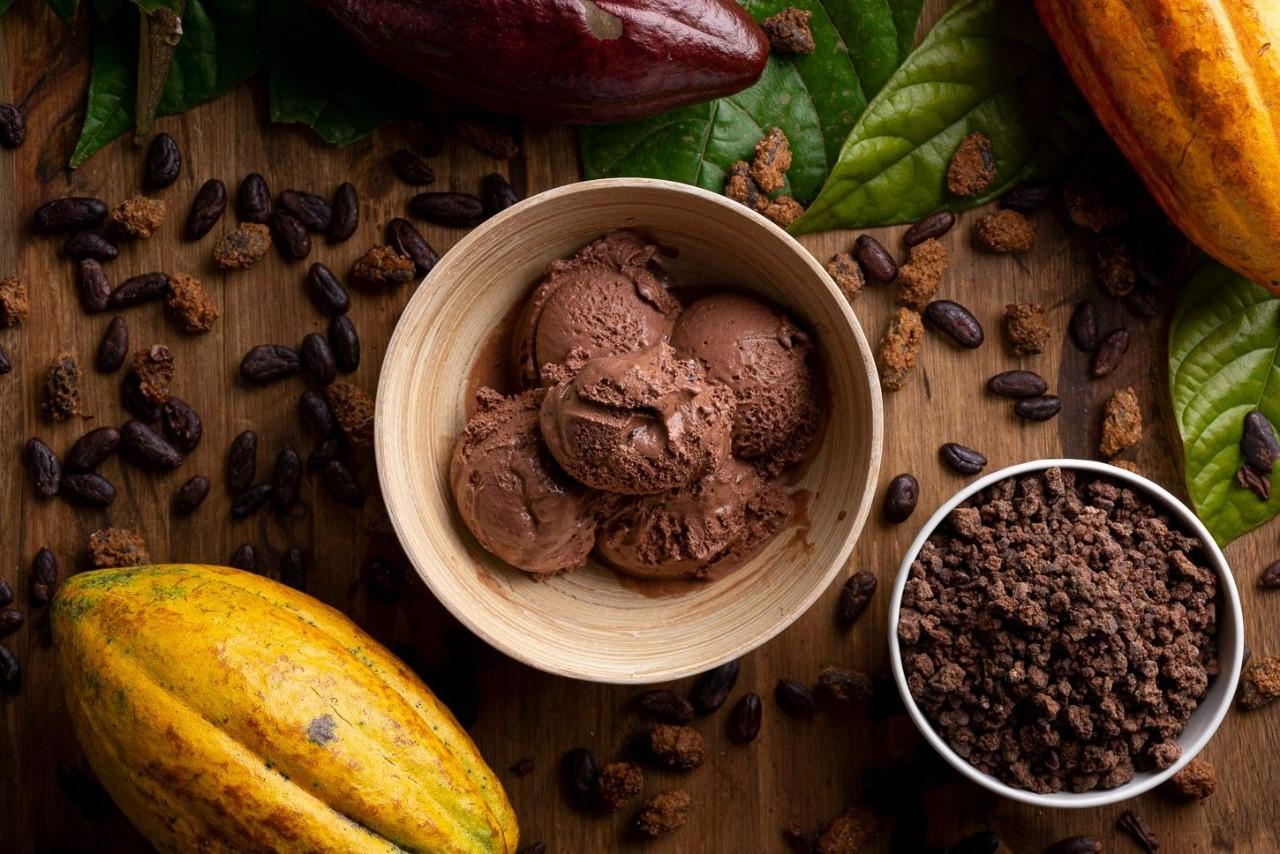 Sorvete de nibs promete ser a iguaria com o sabor mais intenso do verão capixaba 2022