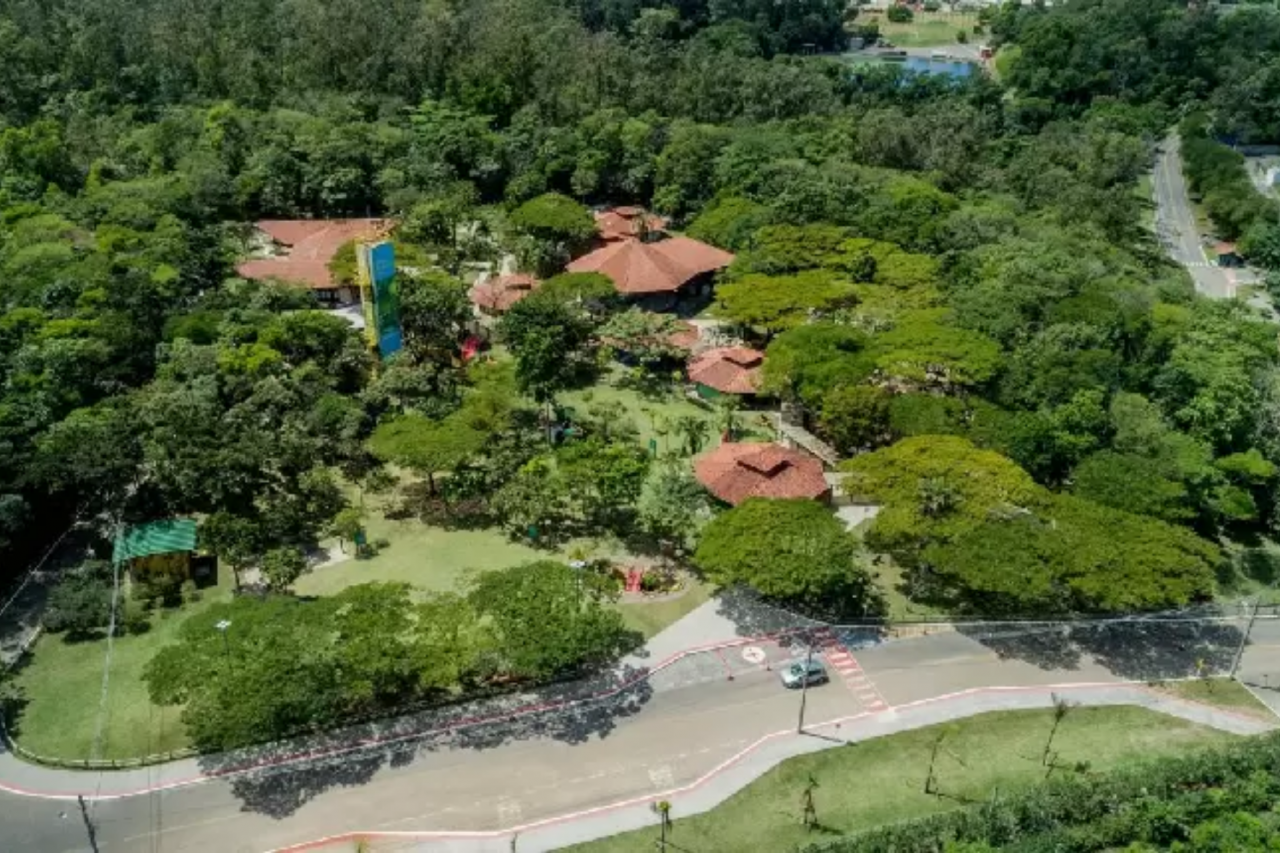 Brincadeiras, oficinas e muita diversão durante o fim de semana no Parque Botânico da Vale