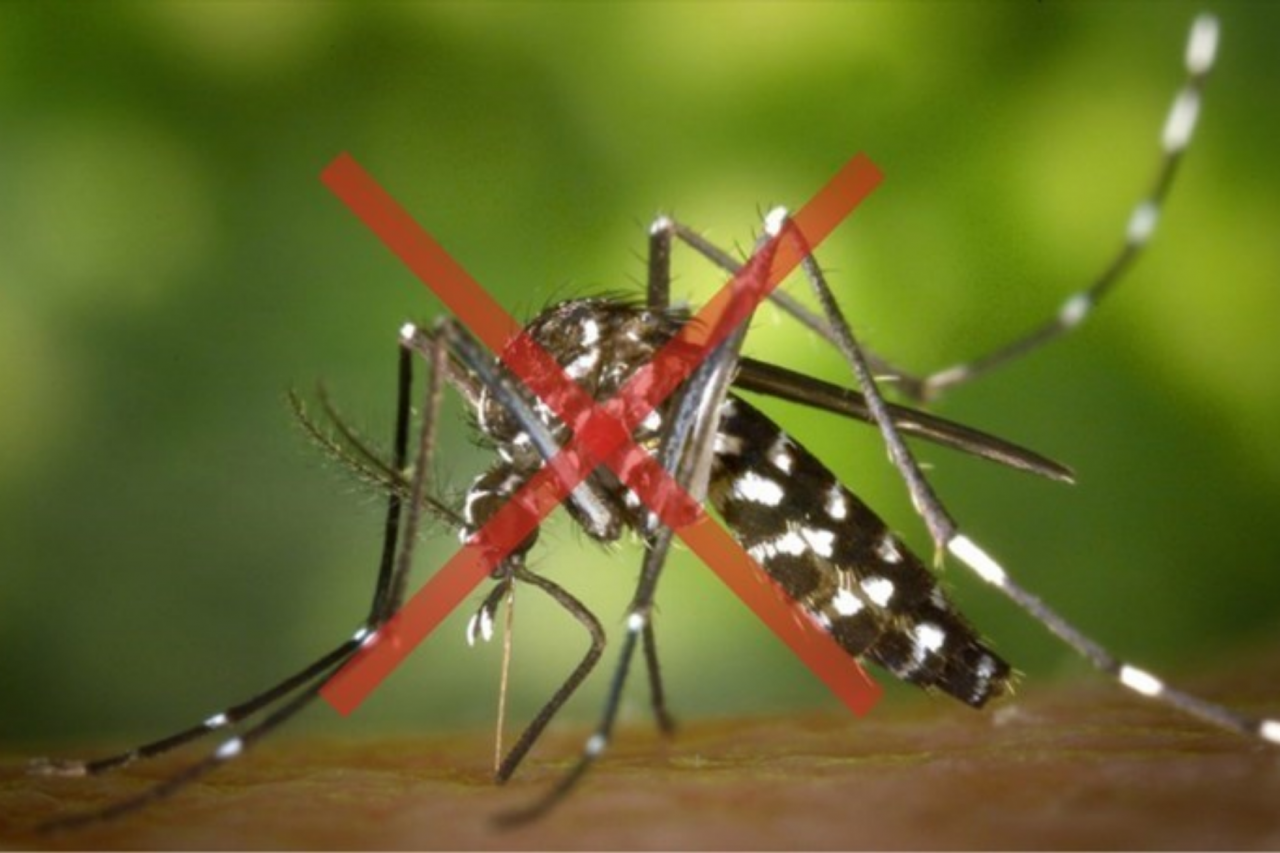 Sesa alerta para cuidados no combate à dengue no Espírito Santo