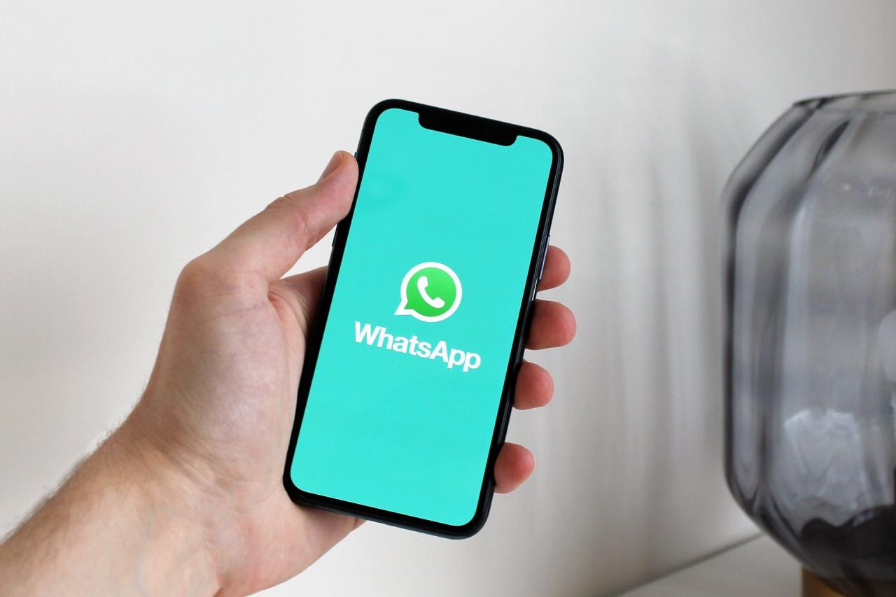 Whatsapp é a principal ferramenta de vendas dos empreendedores capixabas