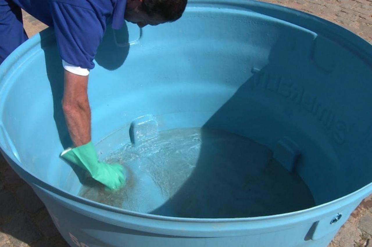 Ações simples podem ser aliadas no combate às arboviroses