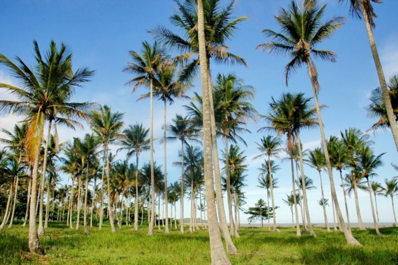 Municípios capixabas avançam na categorização do Ministério do Turismo