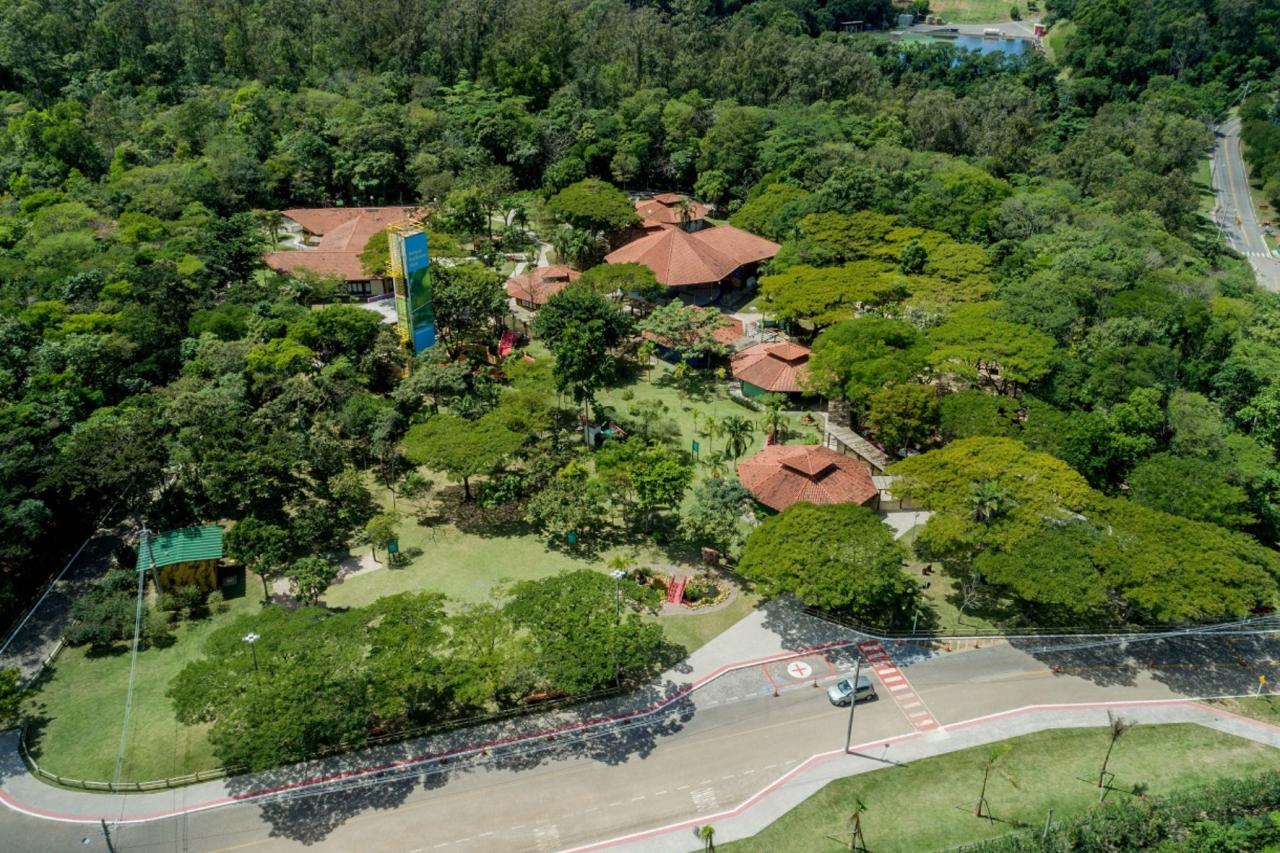 IV Exposição de Abelhas Nativas sem ferrão é opção de lazer no Parque Botânico Vale