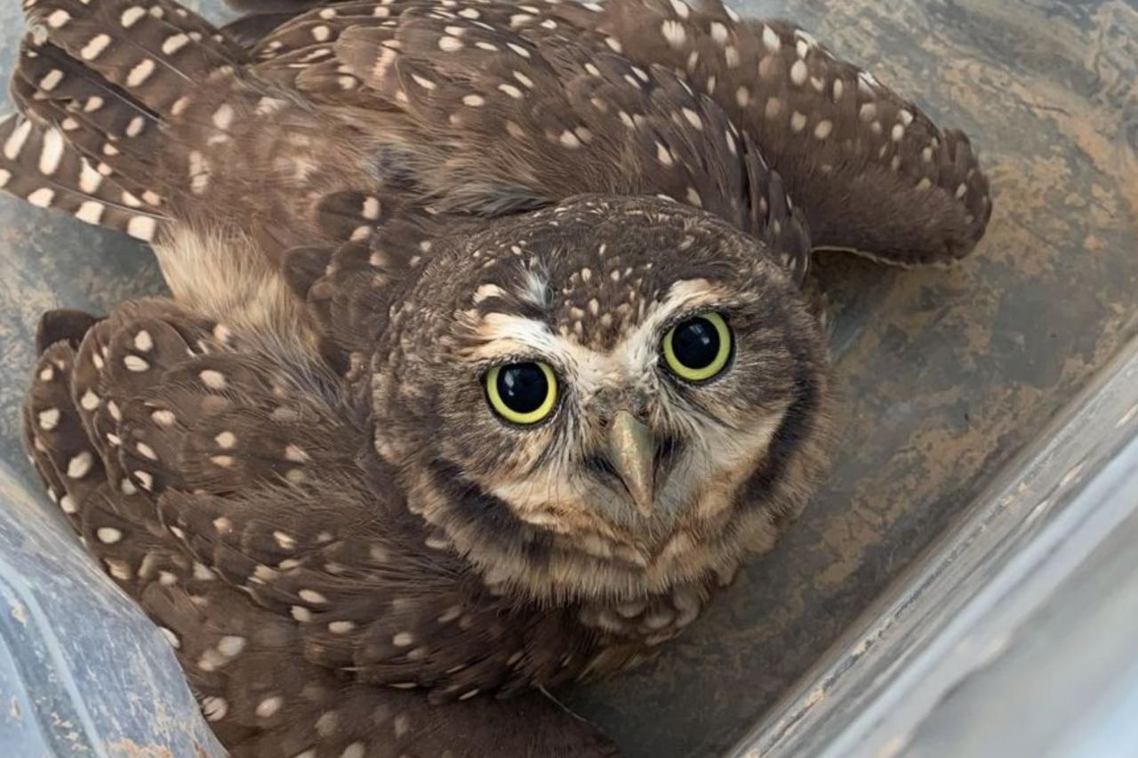 Pelo 3º ano Eco101 fica entre as cinco melhores Concessões federais em práticas socioambientais