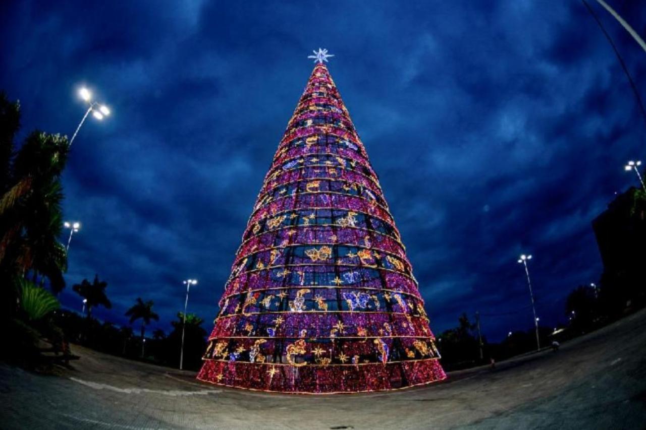 Natal Serra + Iluminada: árvore de 23 metros, neve e muitos encantos pela cidade