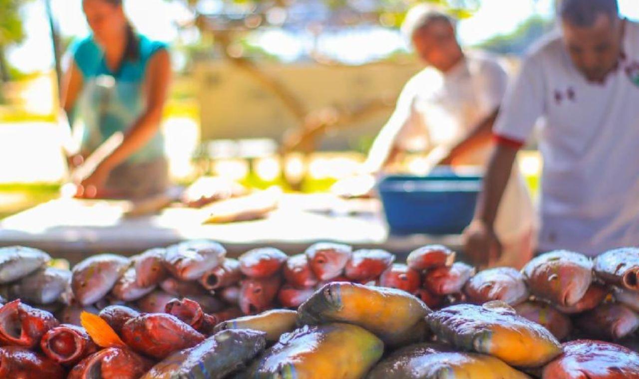 Rota do Pescado: saiba onde comprar peixe fresco na Serra
