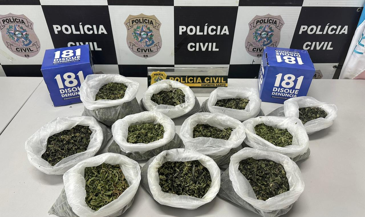 Polícia Civil desmantela laboratório para cultivo de maconha na Serra