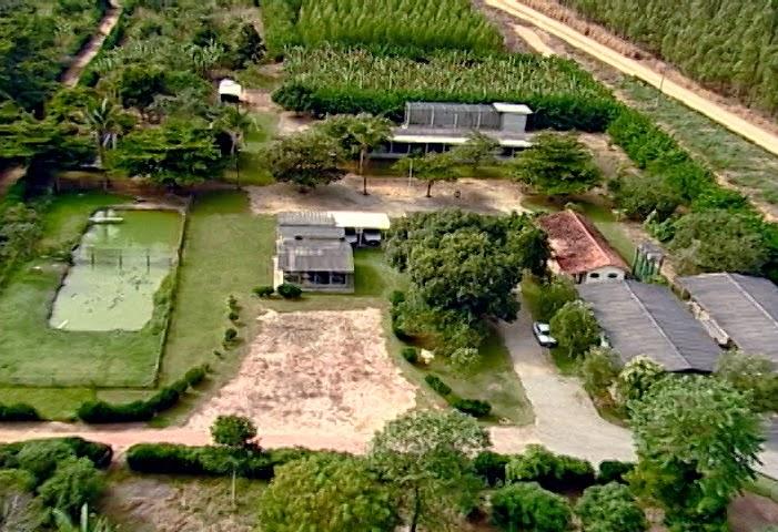 De bicho-preguiça a lobo-guará: Aracruz registra animais silvestres em áreas urbanas neste mês de fevereiro