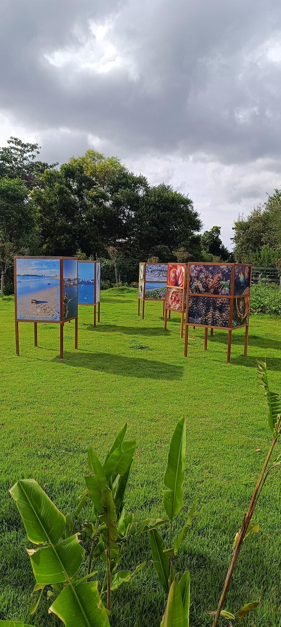 Exposição Baía das Tartarugas no Parque Costeiro