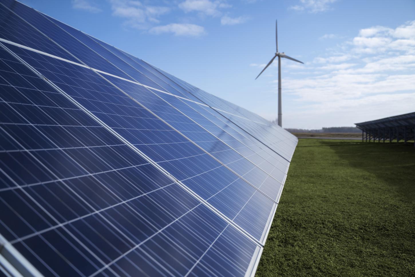 Sementes participa de evento que une meio ambiente e inovação energética