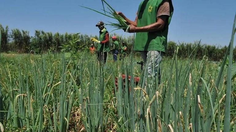 AGU assegura regras do Incra em seleção para assentamento