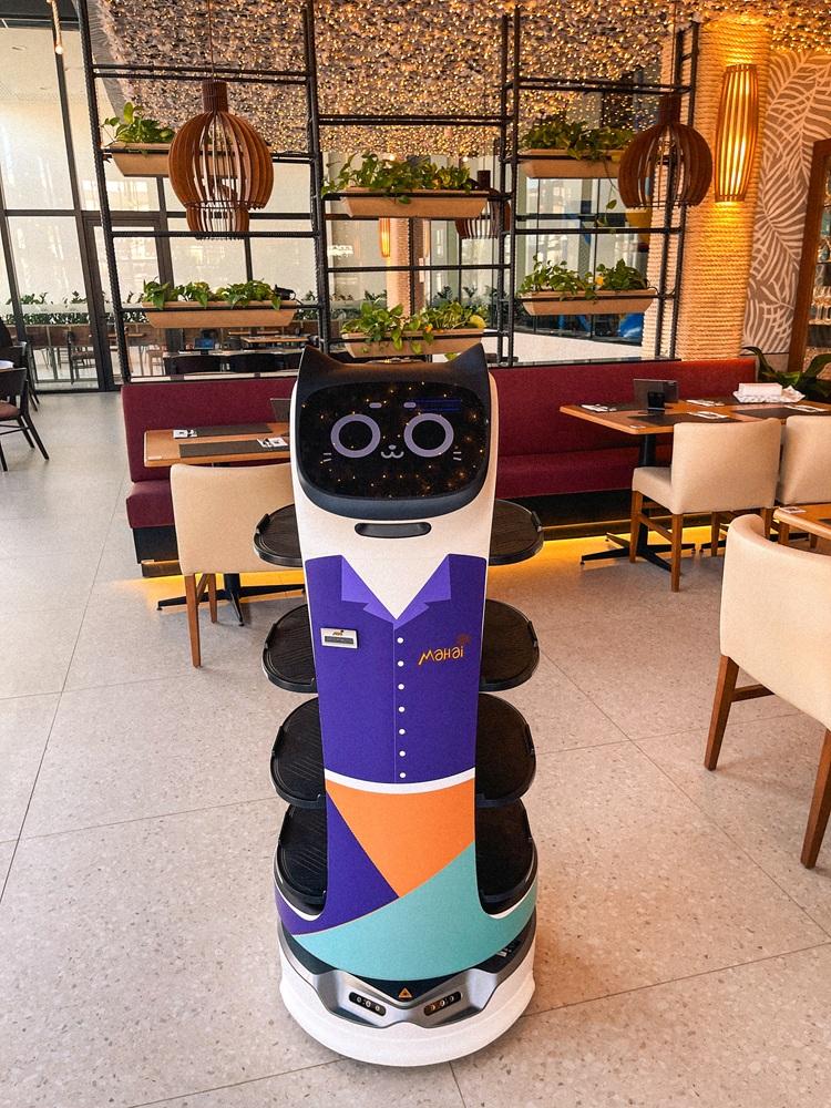 Robô-garçom já é realidade em restaurante da Grande Vitória