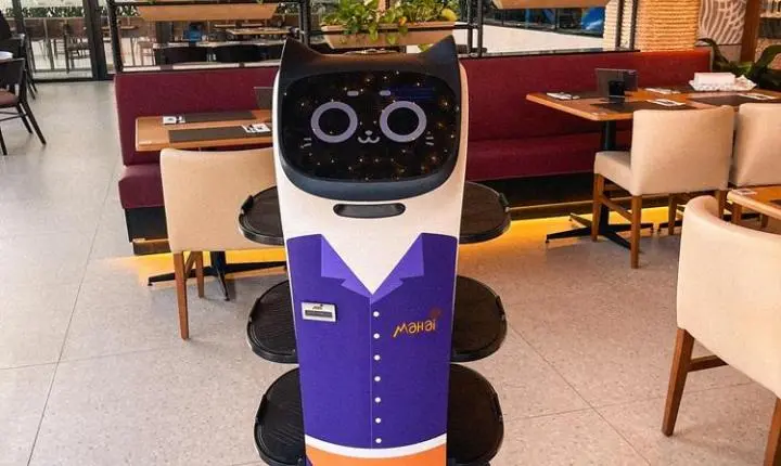 Robô-garçom já é realidade em restaurante da Grande Vitória